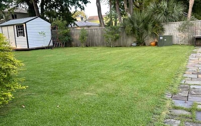 Photo of Maria H.'s yard after getting lawn care in Mount Pleasant, PA