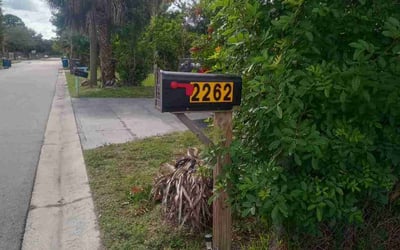 Photo of William L.'s yard after getting lawn care in Salem, OR