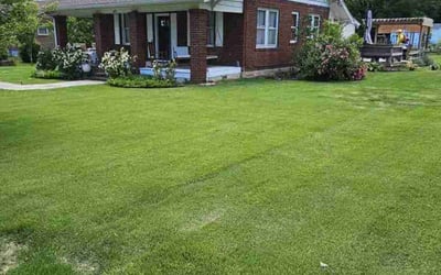 Photo of Ann B.'s yard after getting lawn care in Middletown, CT