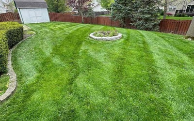 Photo of William W.'s yard after getting lawn care in Noblesville, IN