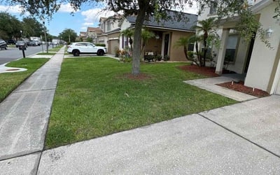 Photo of Maria W.'s yard after getting lawn care in Florissant, MO