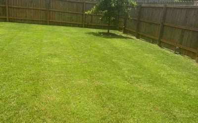 Photo of Carol D.'s yard after getting lawn care in Sevierville, TN
