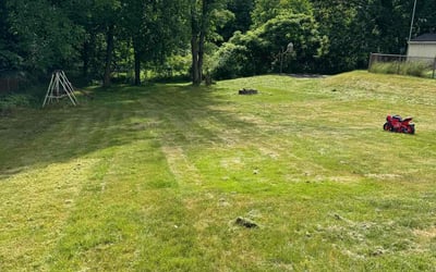 Photo of Karlene G.'s yard after getting lawn care in Methuen, MA