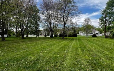 Photo of Lauren W.'s yard after getting lawn care in Trenton, OH