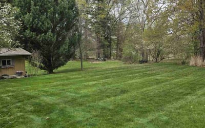 Photo of Eden A.'s yard after getting lawn care in Grafton, OH