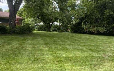 Photo of Kelli J.'s yard after getting lawn care in Auburn, WA