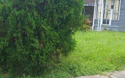 Photo of Brandon B.'s yard after getting tree care in Fairborn, OH