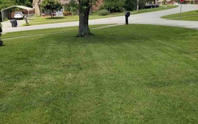 Photo of Albert S.'s yard after getting lawn care in Prospect, KY