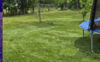 Photo of Steve T.'s yard after getting lawn care in Saddle Brook, NJ