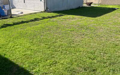 Photo of Natalie L.'s yard after getting lawn care in Downey, CA