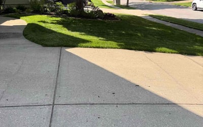 Photo of Suzanne Z.'s yard after getting lawn care in Plainville, CT