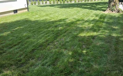 Photo of Lana E.'s yard after getting lawn care in Lincoln, NE
