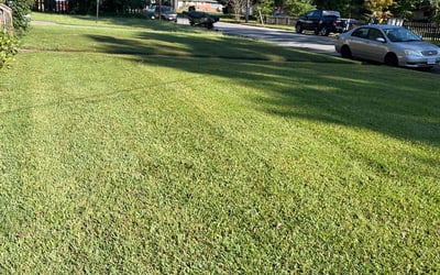 Photo of Loretta D.'s yard after getting lawn care in Newport News, VA