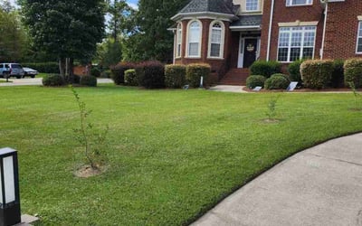 Photo of David E.'s yard after getting lawn care in Irmo, SC