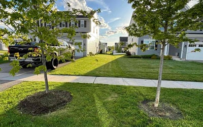 Photo of Daniel G.'s yard after getting lawn care in Antioch, IL