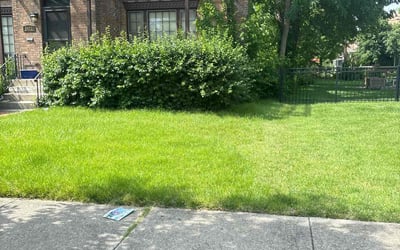 Photo of Shelby S.'s yard after getting lawn care in Orland, IL