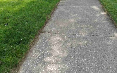 Photo of Lynette J.'s yard after getting lawn care in Dolton, IL