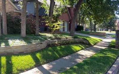 Photo of Andy B.'s yard after getting lawn care in Bedford, TX