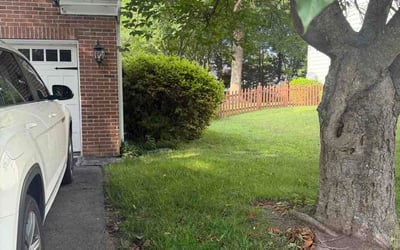 Photo of Mary C.'s yard after getting lawn care in Rockaway, NJ