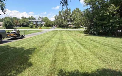 Photo of Marsha H.'s yard after getting lawn care in Frederick, MD
