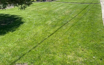 Photo of Mary u.'s yard after getting lawn care in Burlington, NJ