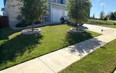 Photo of Dani I.'s yard after getting lawn care in Manor, TX