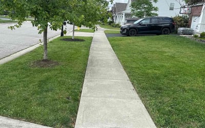 Photo of John M.'s yard after getting lawn care in Middletown, PA