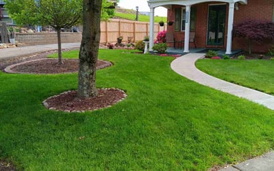 Photo of Michael G.'s yard after getting lawn care in Oakdale, PA