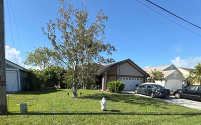 Photo of Carol W.'s yard after getting lawn care in Jupiter, FL
