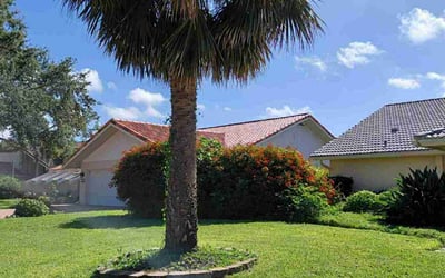 Photo of Trent B.'s yard after getting lawn care in St. Petersburg, FL