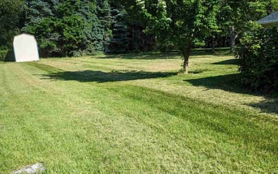 Photo of Joyce M.'s yard after getting lawn care in Shippensburg, PA