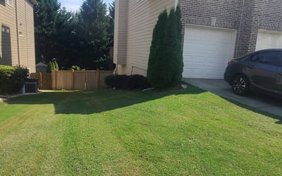 Photo of James C.'s yard after getting tree care in Arlington, VA