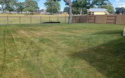 Photo of Stephen R.'s yard after getting lawn care in Bastrop, TX