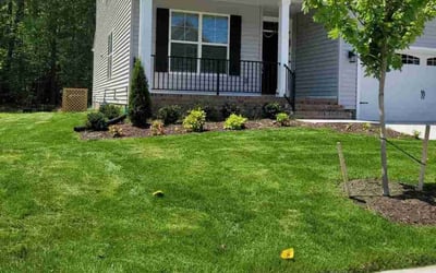 Photo of Salina R.'s yard after getting lawn care in Eustis, FL