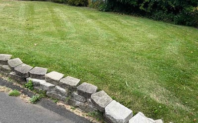 Photo of Dashawn C.'s yard after getting lawn care in Avon, CT