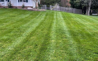 Photo of Zulmarie R.'s yard after getting lawn care in Lorton, VA