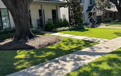 Photo of Will S.'s yard after getting lawn care in Dallas, TX