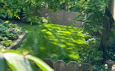 Photo of Jeremy M.'s yard after getting lawn care in Raytown, MO