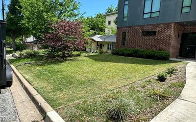 Photo of Nathaniel B.'s yard after getting lawn care in Chapel Hill, NC