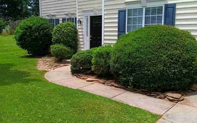 Photo of Christel K.'s yard after getting lawn care in Indian Trail, NC