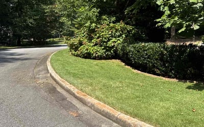 Photo of Roman C.'s yard after getting lawn care in Rosamond, CA