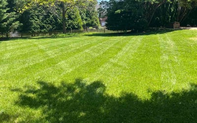 Photo of Alan R.'s yard after getting lawn care in Frederick, MD