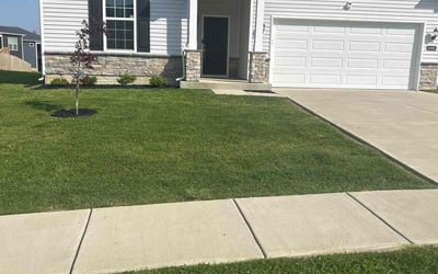 Photo of Melissa D.'s yard after getting lawn care in Cheswick, PA