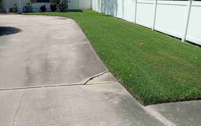 Photo of Michelle F.'s yard after getting lawn care in Tuckerton, NJ