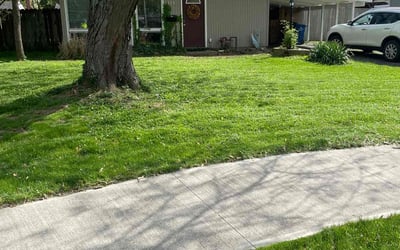 Photo of Dennis W.'s yard after getting lawn care in Ashville, OH