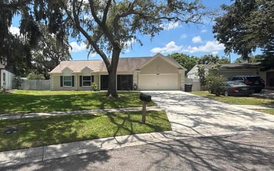 Photo of Kelly F.'s yard after getting lawn care in Wesley Chapel, FL