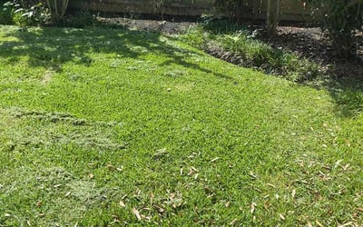 Photo of Muneer A.'s yard after getting lawn care in North Olmsted, OH