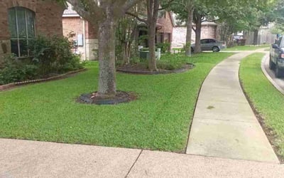 Photo of AMBER K.'s yard after getting lawn care in Bayside, NY