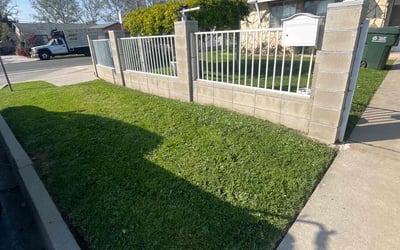 Photo of Maceo Y.'s yard after getting lawn care in San Pedro, CA
