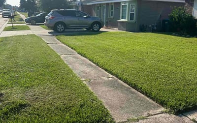 Photo of Amy M.'s yard after getting lawn care in Orange Beach, AL